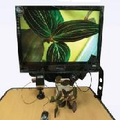 DigitalVisualizer 5Mega Pixel Camera