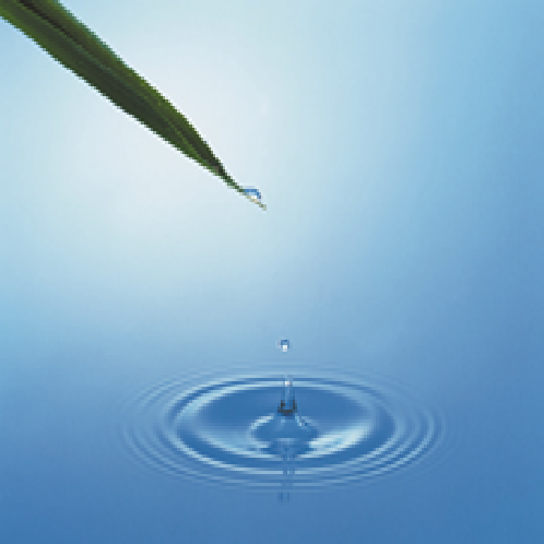 SOFC (Solid oxide fuel cell)