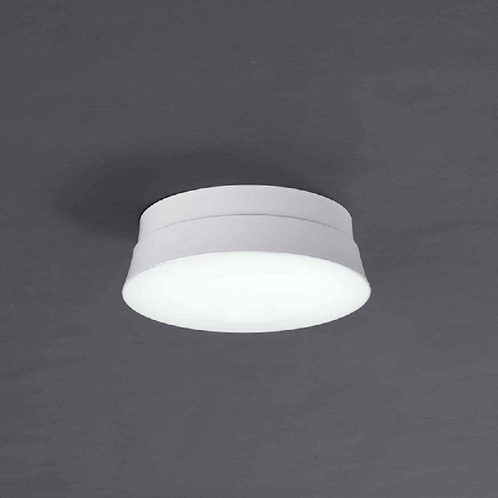 DAYTIME CONCH SECL-L094