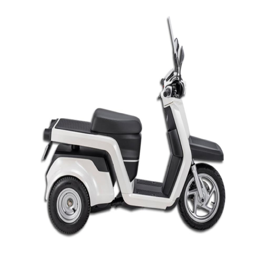 Electric Scooter EM3X