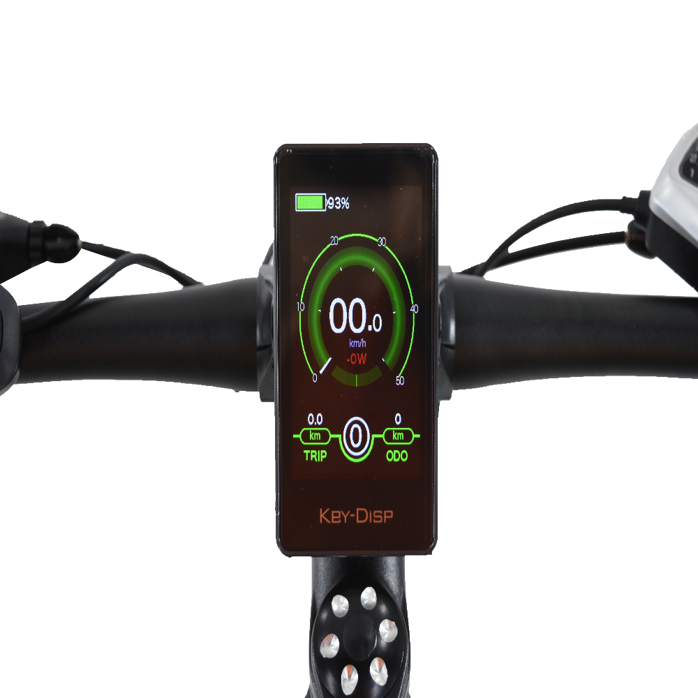 Electric Bicycle STELLAR 26 inch electric Bike (Folding)