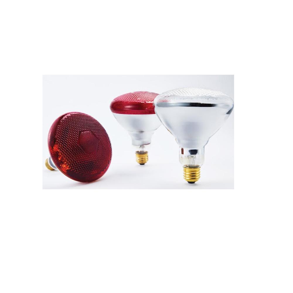 JK HEAT PLUS JKBL210S / 300S Brooder Lamp Lamp Protector 10pcs Ued for Swine Farms (Gold, Small)