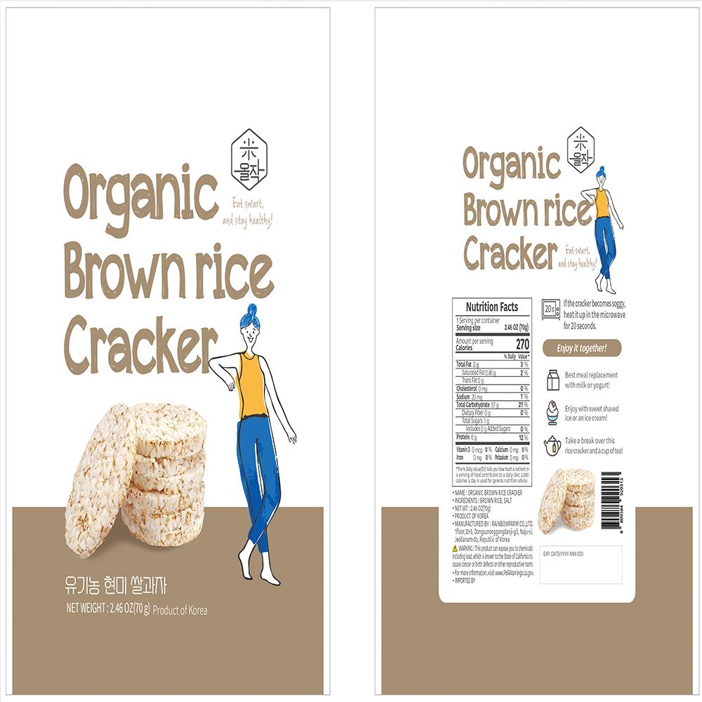 Organic Brown Rice Cracker