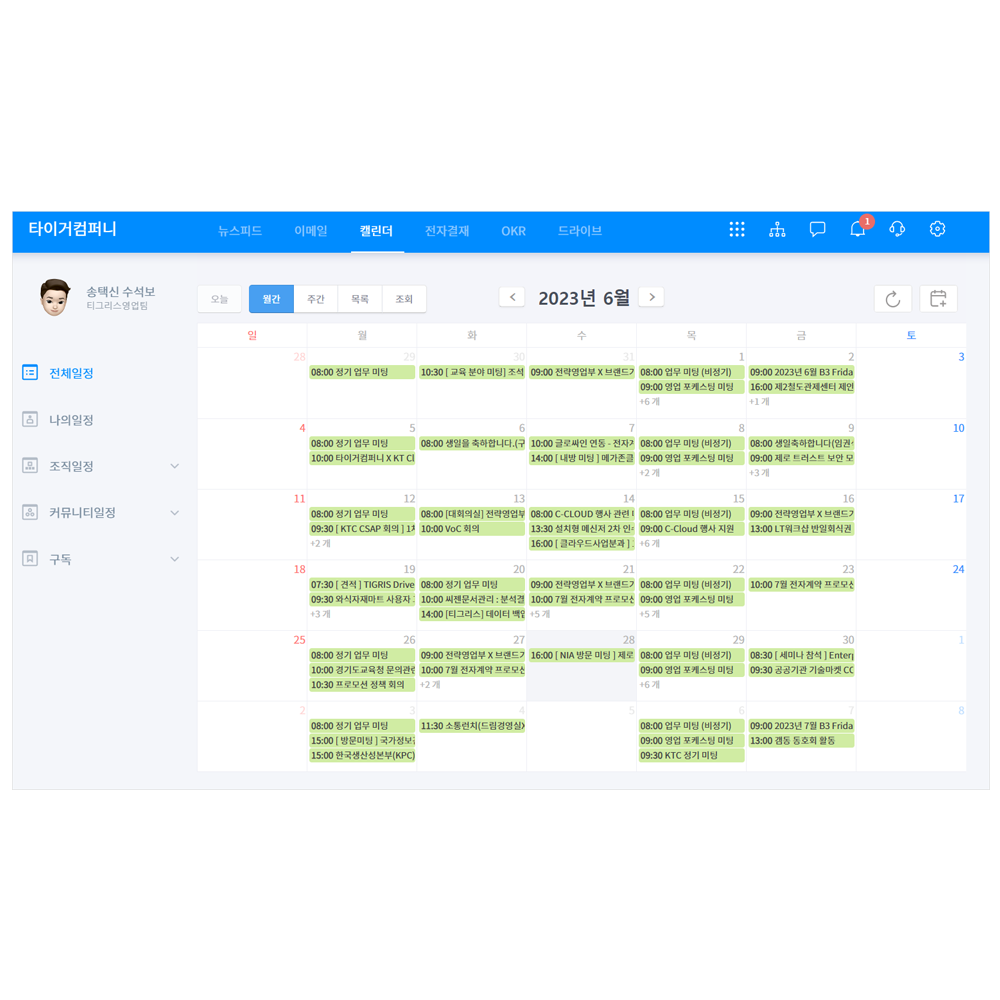 TIGRIS (Business collaboration platform)