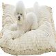 full image MOONGMING Pet Cushion for Summer/All Seasons, Safe Material, Comfortable Cushion for Dogs Puppies Ca