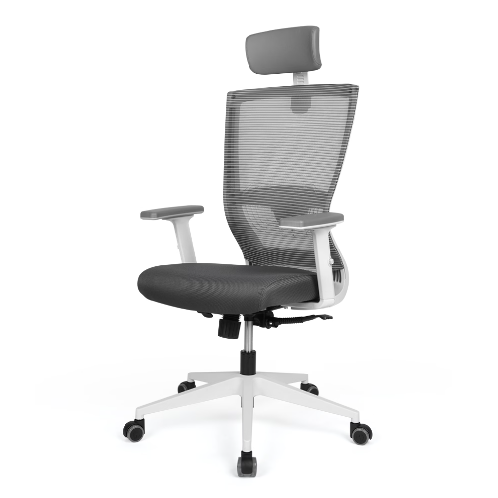 Multi-balance E10 Chair