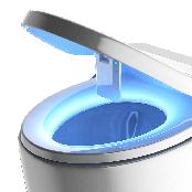 Light Queen Toilet Sterilizer, UVC LED Plasma