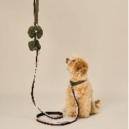[COCOGIO] Eco-Friendly Cork Material Dog Leash