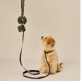 [COCOGIO] Eco-Friendly Cork Material Dog Leash