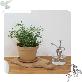 detail image1 Freefactory Flower Plant Pot with Drainage Holes and Saucer Tray(Extra Large/Brown)