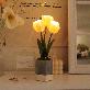 detail image3 Cutie Tulip Pot LED