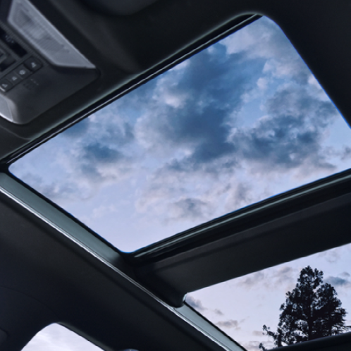 Glass Protection Film