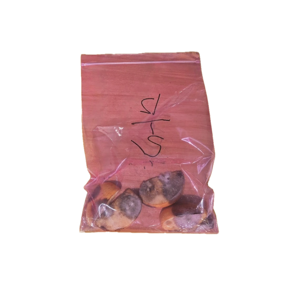 Polyko Fresh Zipper bag